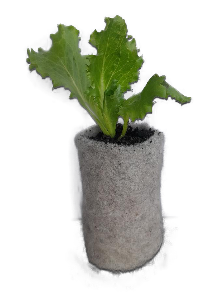 6 Wool BioPots Starter Kit